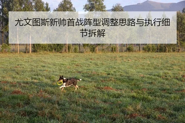 尤文图斯新帅首战阵型调整思路与执行细节拆解